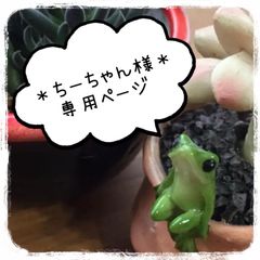 ❁専用ページ❁¨̮ お纏めご依頼商品