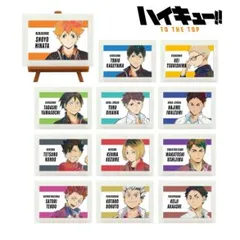 【新品・公式】ハイキュー!! TO THE TOP トレーディング Ani-Art 第5弾 ミニアートフレーム(単位/単品)  colleize