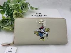 2024年最新】coachディズニー100周年の人気アイテム - メルカリ