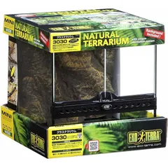 2025年最新】グラステラリウム3030の人気アイテム - メルカリ