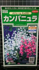 カンパニュラ メジューム つりがね草 種 ３袋セット