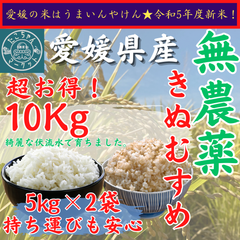無農薬栽培　令和5年度　新米【玄米・白米選べます】愛媛県産　お米　きぬむすめ　10kg　農薬不使用