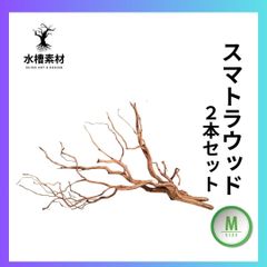 【極上流木】スマトラウッドM　2本セット