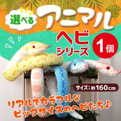 10本セット中サイズ白ヘビの抜け殻414 蛇 白蛇抜け殻 脱皮 一本抜け殻 大蛇 3匹セット - メルカリ