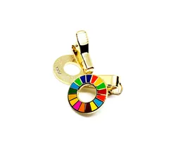 2024年最新】sdgs バッジ クリップの人気アイテム - メルカリ