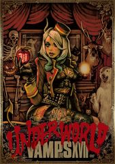 VAMPS UNDERWORLD 初回限定 スカジャン付属 未開封品✨️レア - メルカリ