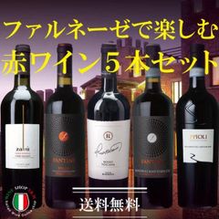 イタリアワイン ワインセット ファルネーゼで楽しむ赤ワイン5本