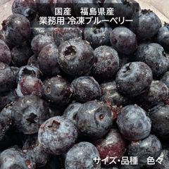国産 冷凍ブルーベリー 加工用 業務用 農薬不使用 1.6kg 福島県 冷凍 フルーツ 果物 ブルーベリー