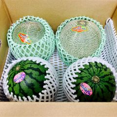 鮮度抜群。鳥取県産 姫 甘泉小玉スイカ1箱 約10kg。4〜5玉。 - メルカリ