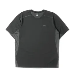 ARC TERYX アークテリクス Tシャツ サイズ:L ストレッチ テクニカル クルーネック 半袖Tシャツ Accelero Comp SS カーボンコピー トップス カットソー【メンズ】のサムネイル