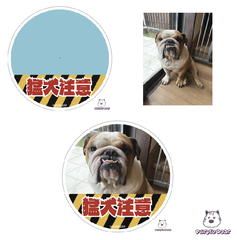 送料無料「Purple Boar」オリジナルセミオーダーメイド 「ガブリ　猛犬注意　ステッカー」 （約１００ｍｍ×約１００ｍｍ）３枚です🎵