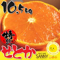 みかん 高級品種 せとか 愛媛産 特に訳あり せとか 箱込10.5kg（10kg+保証分500g）（外皮の傷・シミ多め）