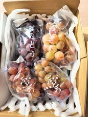 pon様専用　クール便