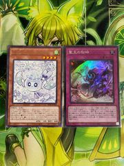 遊戯王 英語版 マルチャミープルリア フワロス 6枚セット 楽天市場】遊戯王 INFO-JP027 字レア 効果モンスター
