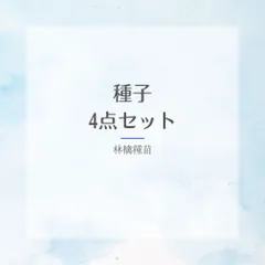 【種】おまとめ4点セット　おまとめ割