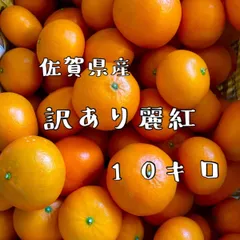 2024年最新】麗紅みかんの人気アイテム - メルカリ