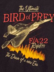 BIRD OF PREY 戦闘機　ブラック　ヴィンテージ　Tシャツ　アメリカ　空軍　USAFA