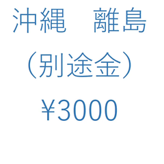 送料別途金　沖縄、離島【3000円】