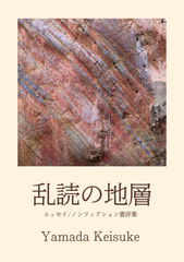 乱読の地層 エッセイ/ノンフィクション書評集