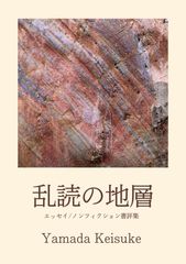 乱読の地層 エッセイ/ノンフィクション書評集のサムネイル