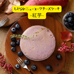【GoldenCheese】しとらかニューヨークチーズケーキ　紅芋＆ブルーベリー