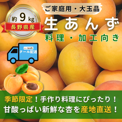 生あんず ～料理・加工用～【内容量】約9kg【配送方法】通常配送【サイズ】L以上【品目】杏（あんず）【品種】当店お任せ【産地】長野県【規格】ご家庭用A品B品混合【詰め方】バラ詰め【配送までの日数】1～4日