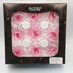 大地農園 ミニカーネーション・ミルフィーユ ベビーピンクロゼ新品1箱