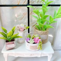 ＃472 ミニチュア インテリア ＊観葉植物⑫