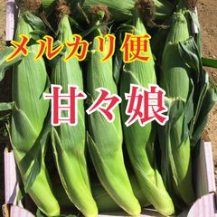 【メルカリ便】甘々娘　とうもろこしのサムネイル