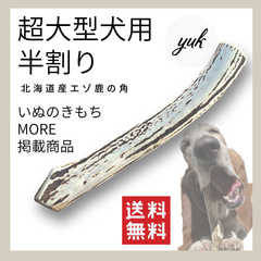 【クーポン発行中】超大型犬用　半割り　北海道産エゾ鹿の角　犬のおもちゃ　鹿の骨　G