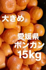 愛媛県産　ポンカン　柑橘　15kg