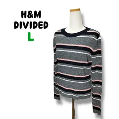 H&M DIVIDED エイチアンドエム ニットセーター ボーダー タイトシルエット やや薄手 マルチカラー Lサイズ