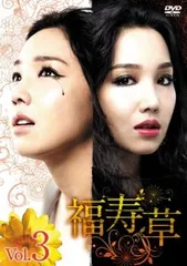 Amazon.co.jp: パク・ソニョン☆ヒョン・ウソン『嵐の女