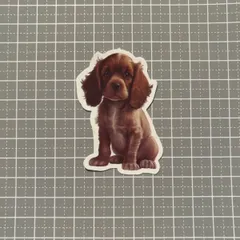 【B081】防水ステッカー 犬 dog アメリカンコッカースパニエル アメコカ 仔犬 子犬