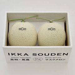 「外まで甘い」2玉で3kg訳あり高糖度マスクメロン