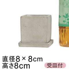 【新品】8cm セメントプランター 植木鉢 キューブ型 受皿付 角鉢 おしゃれ かわいい 室内 インテリア ガーデニング雑貨 多肉植物 サボテン