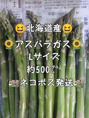 アスパラガス！Shops販売★北海道産⭐アスパラガスＬ
