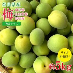 【5月下旬から順次ご発送】送料無料 秀品 梅 南高梅 白加賀梅 鶯宿梅 奈良県 梅 梅干し 梅ジュース 梅酒 加工用 約 5kg サイズふぞろい 家庭用 ご家庭用 サイズ混合 ワケアリ 傷モノ