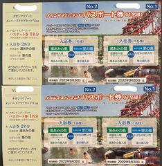 ナガシマスパーランド パスポート券2枚セットなばなの里湯あみの