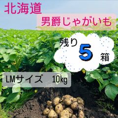 北海道産　じゃがいも　10キロ