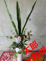 光触媒人工観葉植物ウォールグリーンフェイクフラワーハンドメイドサンスベリア