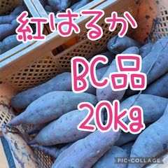 紅あずまBC10kg - メルカリ