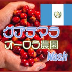 グアテマラ コバン オーロラ農園 SHB ウォッシュ★スペシャリティコーヒー　150g入り★グアテマラ珈琲豆★自家焙煎コーヒー豆★ブレンドコーヒー★エムリバーサイドコーヒー