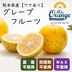 【ワケあり】 国産グレープフルーツ3ｋｇ（熊本産・栽培期間中農薬不使用）※クール便でのお届け