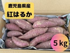 鹿児島産 紅はるか さつまいも ５kg
