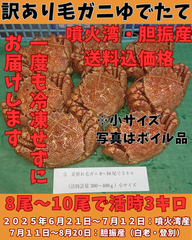 ゆでたて 訳あり毛ガニ８尾～１０尾で３キロ前後活時計量　冷蔵便