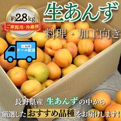 生あんず ～料理・加工用～【内容量】約2.8kg【配送方法】クール配送【サイズ】L以上【品目】杏（あんず）【品種】当店お任せ【産地】長野県【規格】ご家庭用A品B品混合【詰め方】バラ詰め【配送までの日数】1～4日