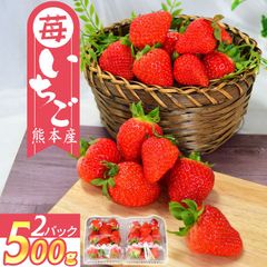 【送料無料】熊本県八代産 いちご ゆうべに 2パック 500g入り 熊本 イチゴ