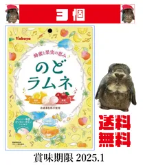 2025年最新】カバヤラムネの人気アイテム - メルカリ