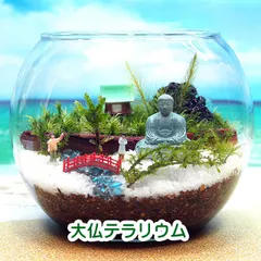 大仏様【苔テラリウム・手作りキット一式】